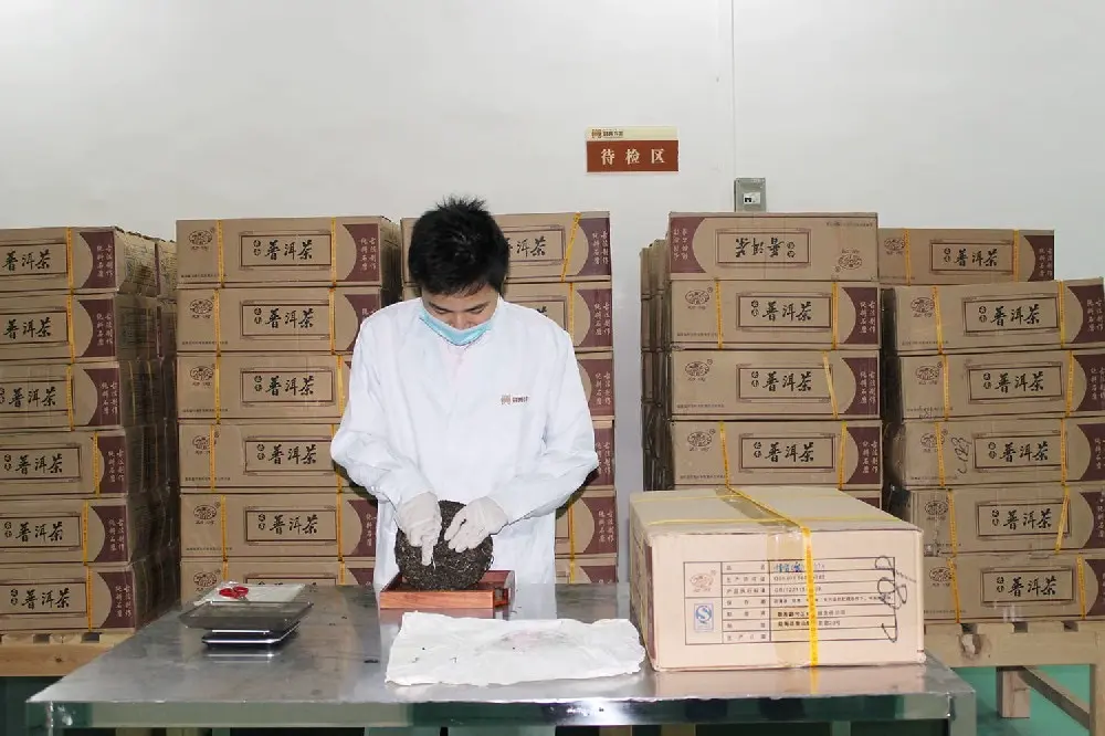 武夷山普洱茶检验展示